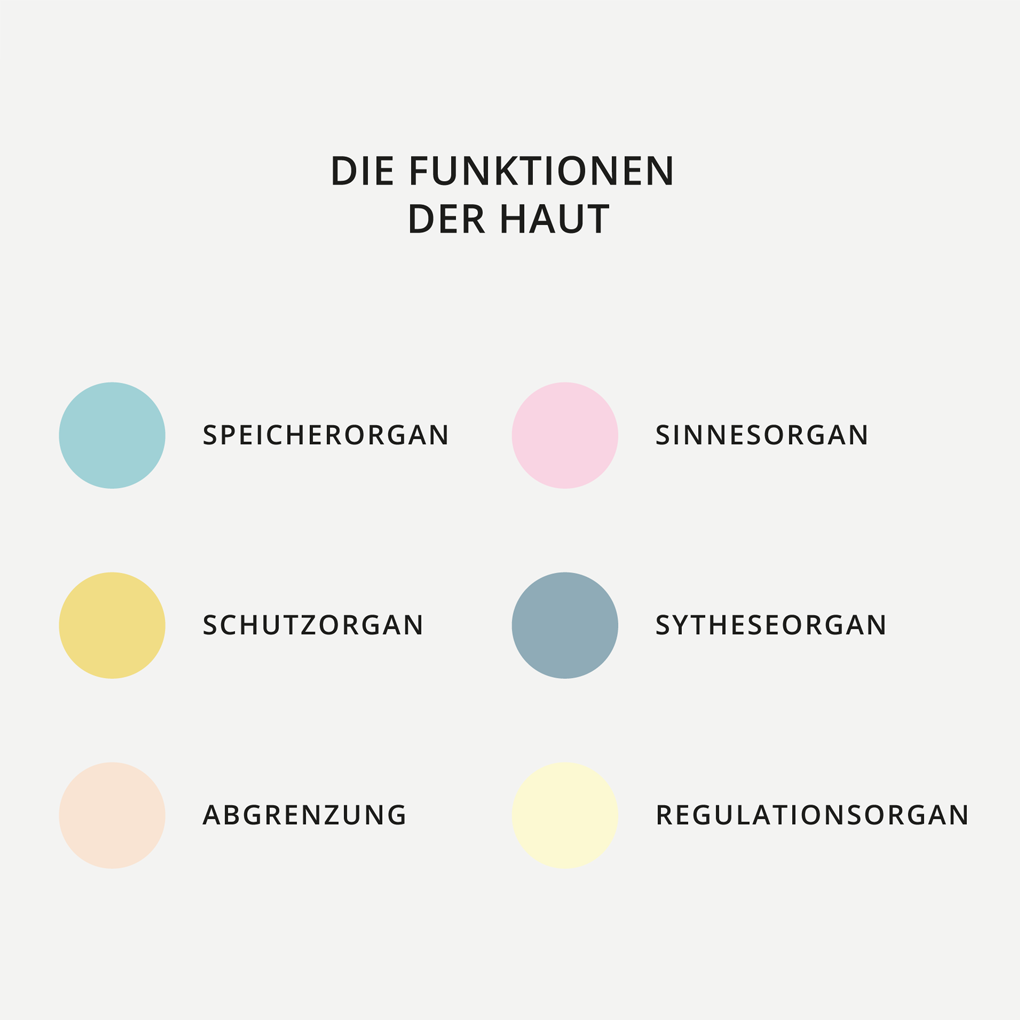 Funktionen der Haut