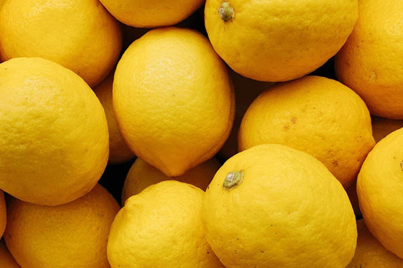 Der richtige Duft bei Wohnungsbesichtigungen: Wie Gerüche über den ersten Eindruck entscheiden