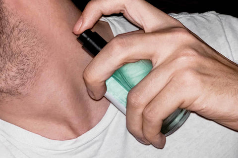 Das Beste Parfum für Männer? Duftnoten und Duftfamilien erkennen