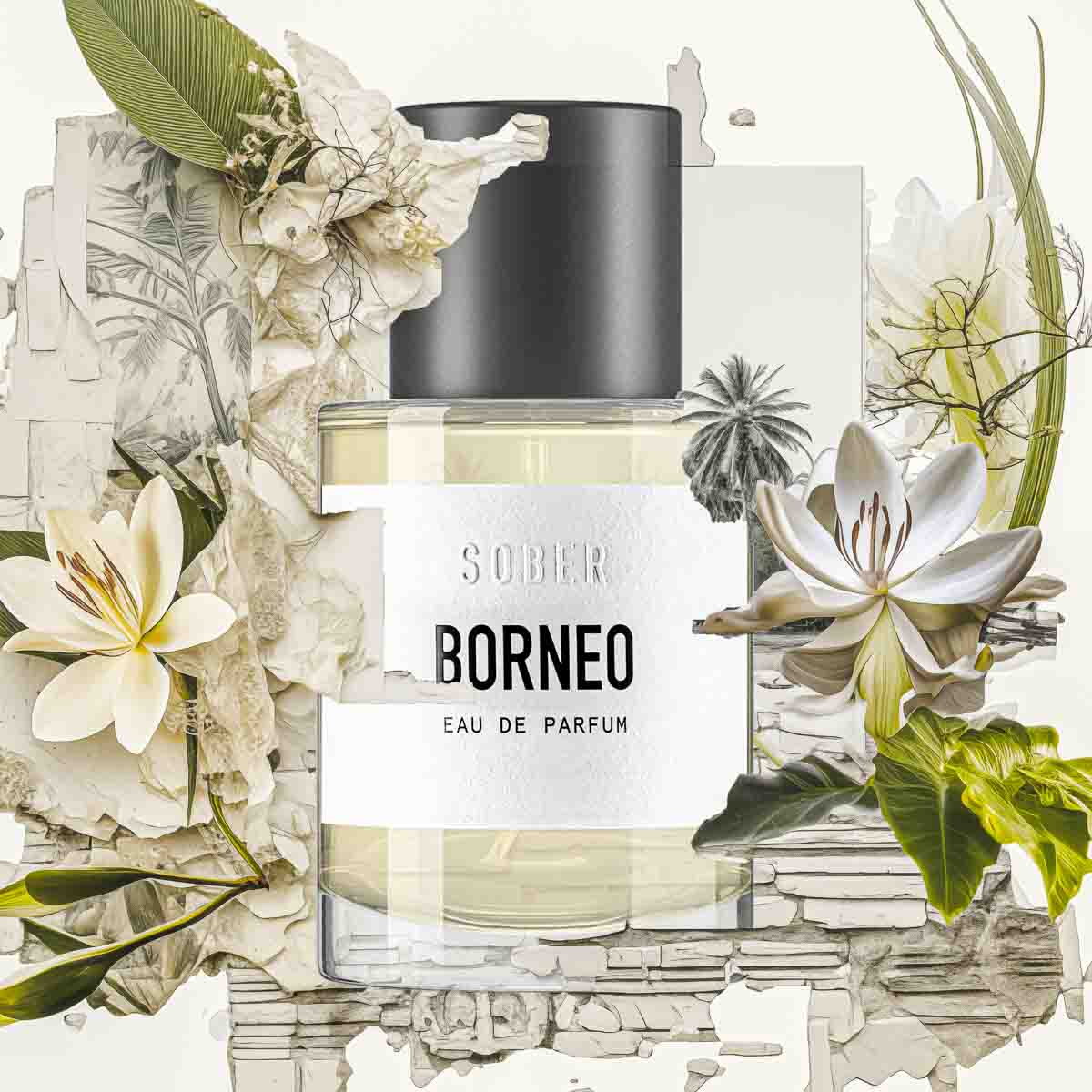 BORNÉO - Eau de Parfum