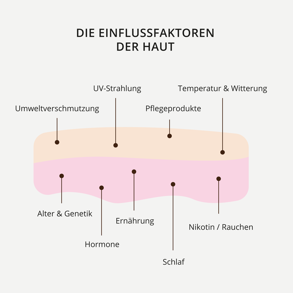 Einflussfaktoren der Haut