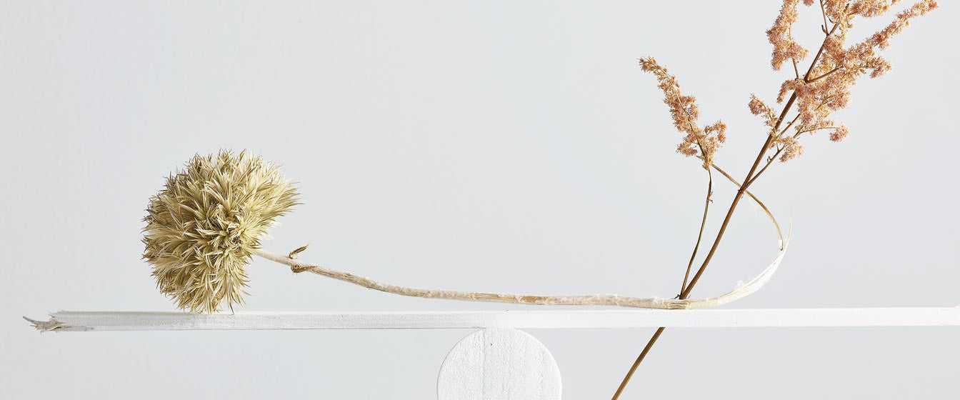Wissenschaft Natur Kosmetik